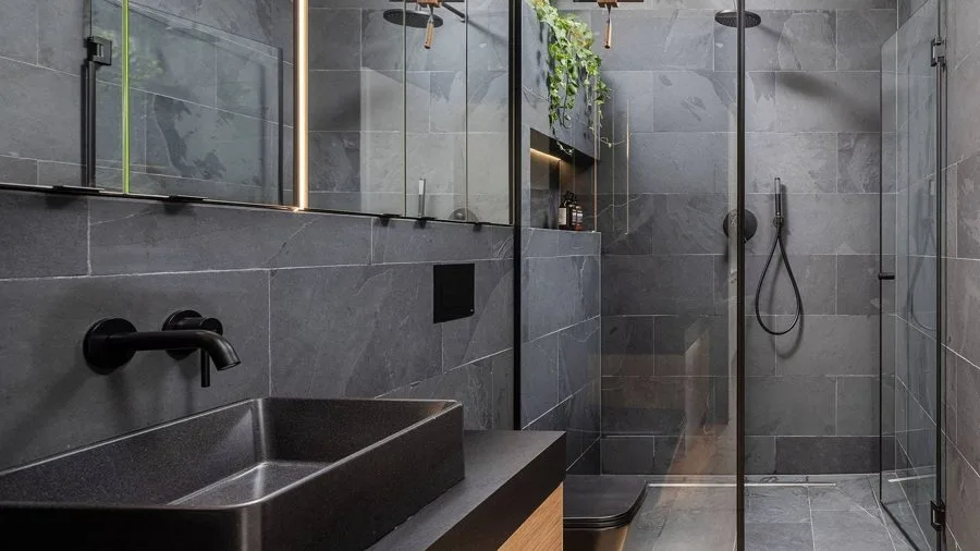 Bathroom of the TR01: dark slate, black countertop basin, walk-in shower with plants