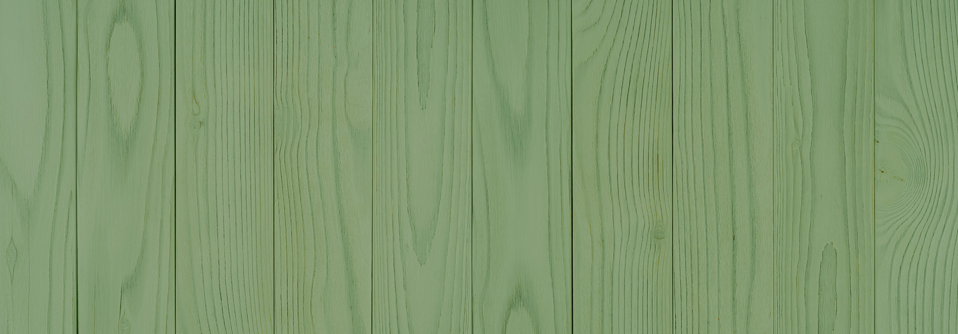 Textur Dwellii SL